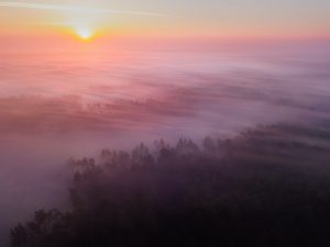 Beautiful misty dawn. Flying above the clouds, drone video